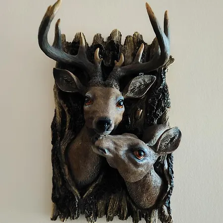 Apartamento Aspen Valley аспен вали студио *